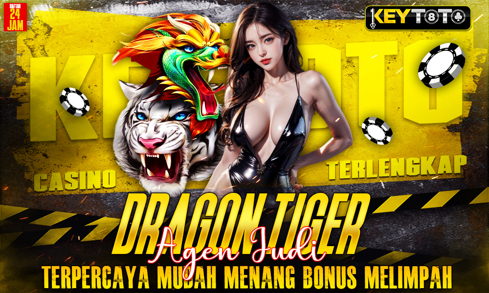 dragon-tigerr